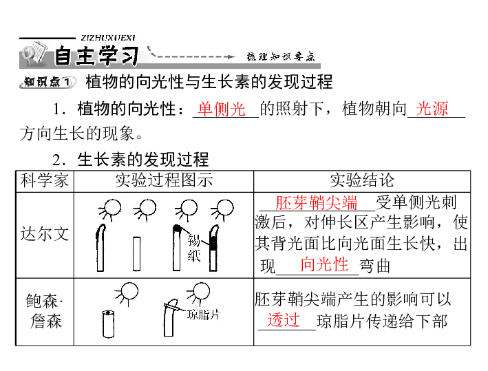 巨子生物(02367.HK)：妆品业务结构优化 医疗器械合规化加速